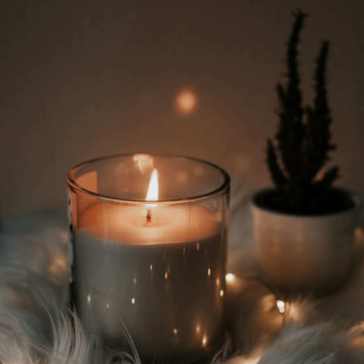 Bloom & Co. handmade candles and home fragrance